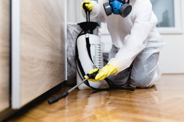 Best Flea Control Services  in Harrison, MI