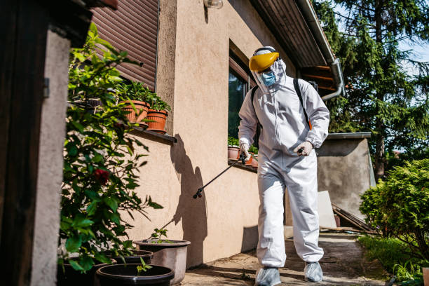 Best Emergency Pest Control  in Harrison, MI