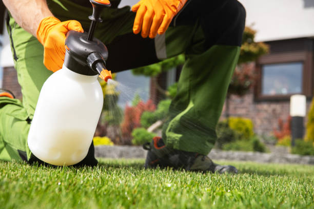 Best Best Pest Control Companies  in Harrison, MI