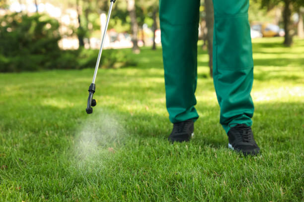 Flea Control Services in Harrison, MI
