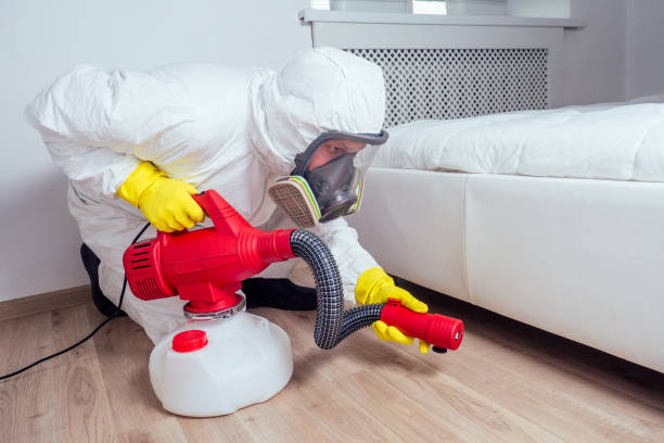 Wasp Removal Services in Harrison, MI