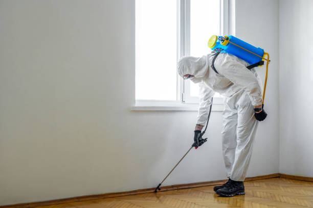 Best Mosquito Control Services  in Harrison, MI