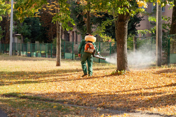 Best Local Pest Control Services  in Harrison, MI