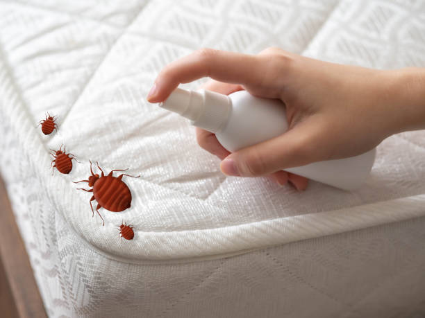  Harrison, MI Pest Control Pros