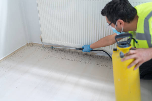 Best Affordable Pest Control Services  in Harrison, MI